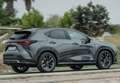 Lexus NX 300h 350h Business City 2WD Gris - thumbnail 31