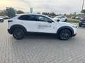 Mazda CX-30 2.5 (140PS) Autom. Homura CarPlay Navi Maz Wit - thumbnail 9