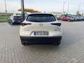 Mazda CX-30 2.5 (140PS) Autom. Homura CarPlay Navi Maz Wit - thumbnail 7