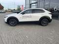Mazda CX-30 2.5 (140PS) Autom. Homura CarPlay Navi Maz Blanc - thumbnail 4