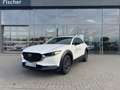 Mazda CX-30 2.5 (140PS) Autom. Homura CarPlay Navi Maz Blanc - thumbnail 3