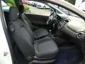 Fiat Punto 1.2*Klima Weiß - thumbnail 13