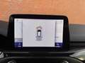 Ford Focus 1.0 Ecoboost ST Line|CARPLAY|CAMERA|LANE ASSIST Blauw - thumbnail 13