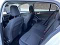 Ford Focus Wagon 1.0 EcoBoost Active Business / Panoramadak / Wit - thumbnail 14