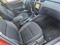 Skoda Octavia Octavia III Combi Combi 2.0 TSI 4x4 DSG Scout Rot - thumbnail 14