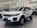 Land Rover Range Rover Evoque Range Rover Evoque 2.0 TD4 150 CV 5p. SE Bianco - thumbnail 3