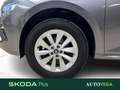 Skoda Kamiq 1.0 tsi selection 95cv Gris - thumbnail 20