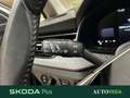 Skoda Kamiq 1.0 tsi selection 95cv Gris - thumbnail 19