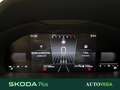 Skoda Kamiq 1.0 tsi selection 95cv Gris - thumbnail 12