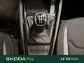 Skoda Kamiq 1.0 tsi selection 95cv Gris - thumbnail 15