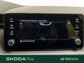 Skoda Kamiq 1.0 tsi selection 95cv Gris - thumbnail 18