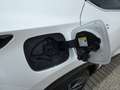 Lexus NX 450h+ *Plug-in* AWD Executive Line +Zetelventi +Leder Blanco - thumbnail 24