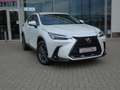Lexus NX 450h+ *Plug-in* AWD Executive Line +Zetelventi +Leder Blanco - thumbnail 27