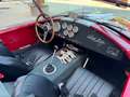 AC Cobra "Factory Five" Motore Ford 302 V8 5.0L (1000 Kg) Rosso - thumbnail 9