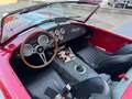 AC Cobra "Factory Five" Motore Ford 302 V8 5.0L (1000 Kg) Rosso - thumbnail 8