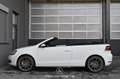 Volkswagen Golf VI Cabrio 1.4 TSI Pickerl NEU EXP € 9.483,- Weiß - thumbnail 6