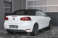Volkswagen Golf VI Cabrio 1.4 TSI Pickerl NEU EXP € 9.483,- Weiß - thumbnail 8