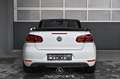Volkswagen Golf VI Cabrio 1.4 TSI Pickerl NEU EXP € 9.483,- Weiß - thumbnail 4