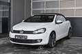 Volkswagen Golf VI Cabrio 1.4 TSI Pickerl NEU EXP € 9.483,- Weiß - thumbnail 7