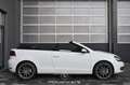 Volkswagen Golf VI Cabrio 1.4 TSI Pickerl NEU EXP € 9.483,- Weiß - thumbnail 5