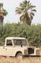 Santana Sonstige Beige - thumbnail 5