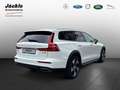 Volvo V60 Cross Country Pro AWD MHEV SCHIEBEDACH, 360° KAMERA, 4-ZOKL. Alb - thumbnail 4