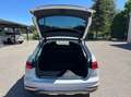 Audi A6 allroad 40 2.0 tdi mhev 4X4 204 cv s-tronic GANCIO TR. Bianco - thumbnail 12