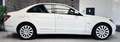 Mercedes-Benz C 320 CDI Elegance Sport NAVI|AHK|SHZ|PDC|TEMP.|MFL Blanc - thumbnail 4