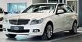 Mercedes-Benz C 320 CDI Elegance Sport NAVI|AHK|SHZ|PDC|TEMP.|MFL Blanc - thumbnail 3