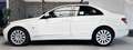 Mercedes-Benz C 320 CDI Elegance Sport NAVI|AHK|SHZ|PDC|TEMP.|MFL Blanc - thumbnail 8
