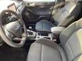 Ford Focus Lim. ST-Line Bleu - thumbnail 13