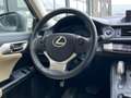 Lexus CT 200h | Leer | Clima | Cruise | Stoelver | Gris - thumbnail 17