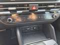 Kia Sportage Vision 1.6 T-GDi MHEV 150PS Automatik NEUES MOD... Blanc - thumbnail 15