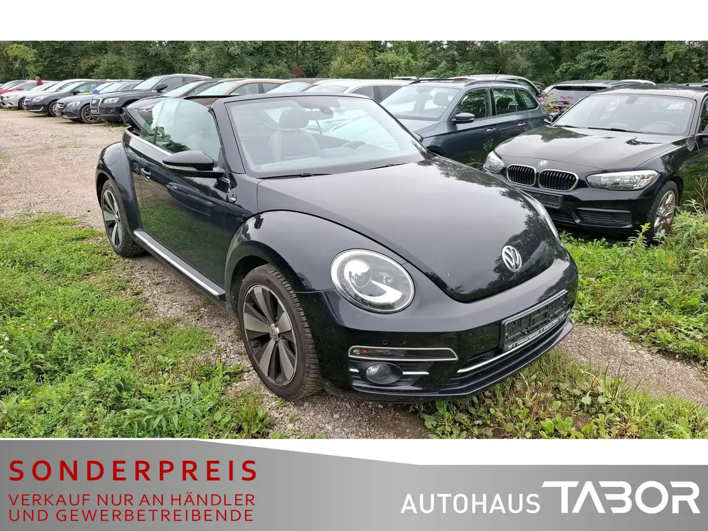 Volkswagen Beetle Cabriolet 1.4 TSI DSG Sound+ Leder Navi - 2