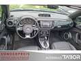 Volkswagen Beetle Cabriolet 1.4 TSI DSG Sound+ Leder Navi - thumbnail 5