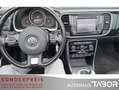 Volkswagen Beetle Cabriolet 1.4 TSI DSG Sound+ Leder Navi - thumbnail 7
