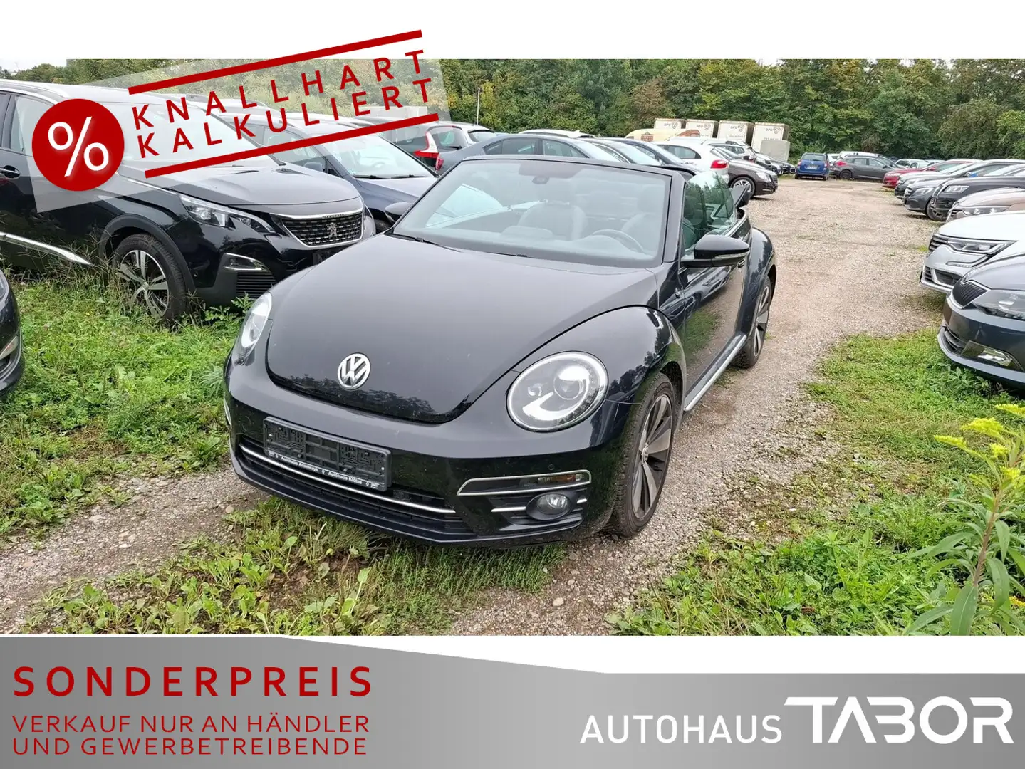 Volkswagen Beetle Cabriolet 1.4 TSI DSG Sound+ Leder Navi - 1