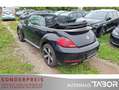 Volkswagen Beetle Cabriolet 1.4 TSI DSG Sound+ Leder Navi - thumbnail 4
