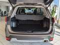 Subaru Forester 2.0ie Boxer Pano LED Kamera Pano ACC Bruin - thumbnail 17