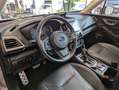 Subaru Forester 2.0ie Boxer Pano LED Kamera Pano ACC Bruin - thumbnail 21