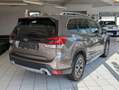 Subaru Forester 2.0ie Boxer Pano LED Kamera Pano ACC Marrone - thumbnail 7