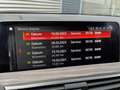 BMW X3 xDrive20i High Executive Edition NAVI/CAM,LEER,LED Gris - thumbnail 19