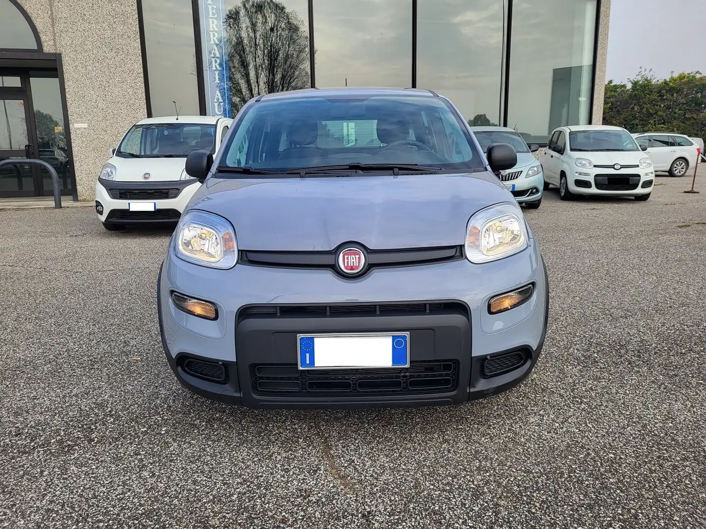 Fiat Panda 1.0 firefly hybrid Gris - 2