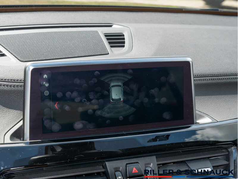 BMW X2 sDrive 20i M-Sport X W-LAN HUD LED PANO — photo 11