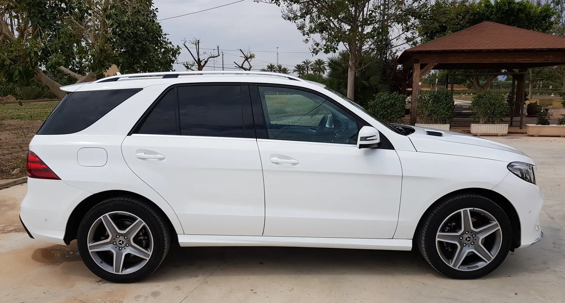 Mercedes-Benz GLE 250 250d+4Matic+Aut. Blanco - 2