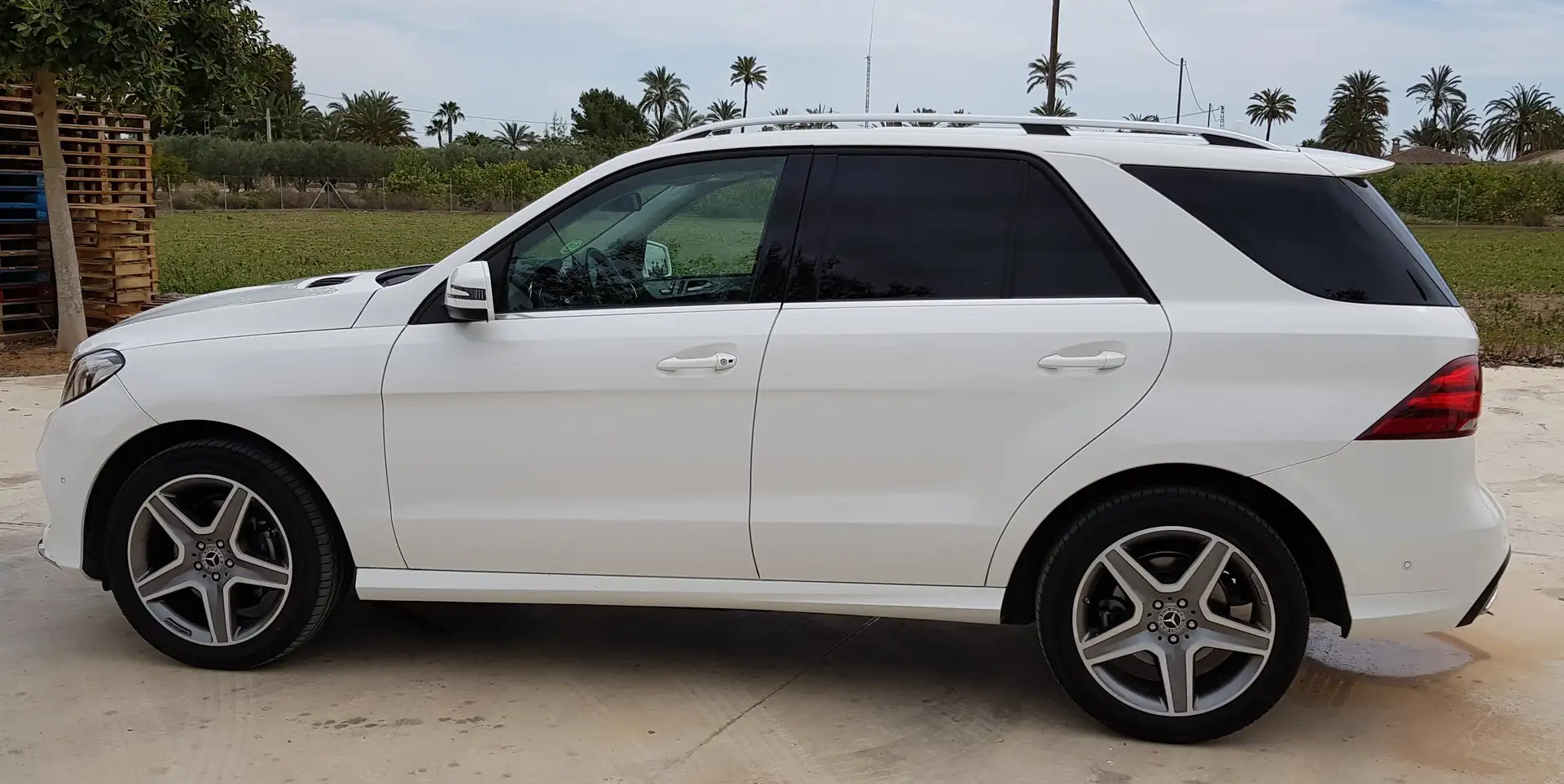 Mercedes-Benz GLE 250 250d+4Matic+Aut. Blanco - 1
