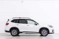 Subaru Forester 2.0i Hybrid Executive Plus CVT Blanco - thumbnail 12