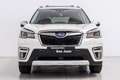 Subaru Forester 2.0i Hybrid Executive Plus CVT Blanco - thumbnail 11