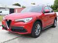 Alfa Romeo Stelvio Stelvio 2.2 Diesel 16V AT8 Super Rouge - thumbnail 4