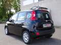 Fiat Panda 1.3 mjt 16v Easy S&S Nero - thumbnail 5
